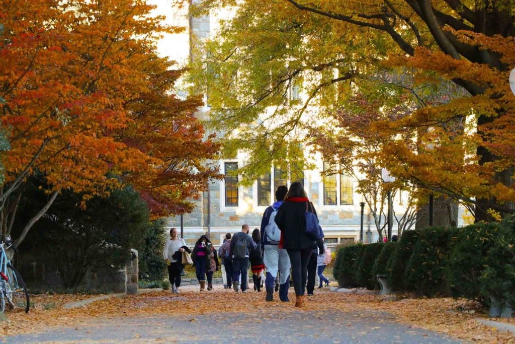 Students walking down Copley Lawn