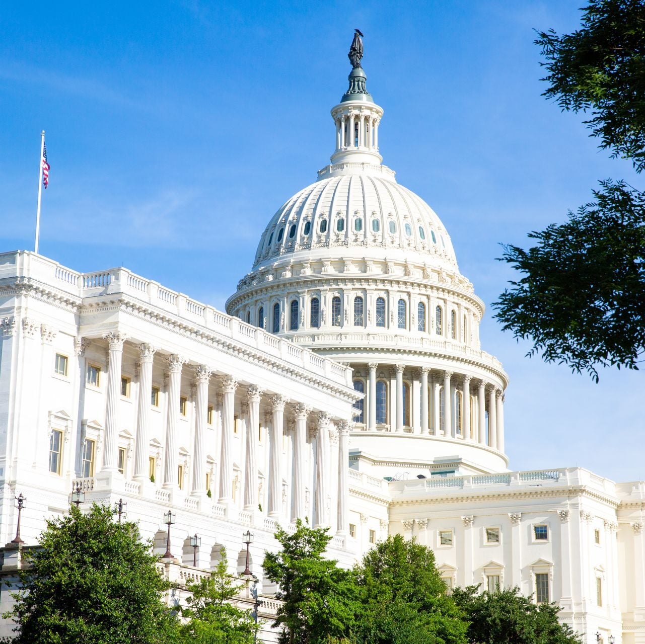 The US Capitol Building